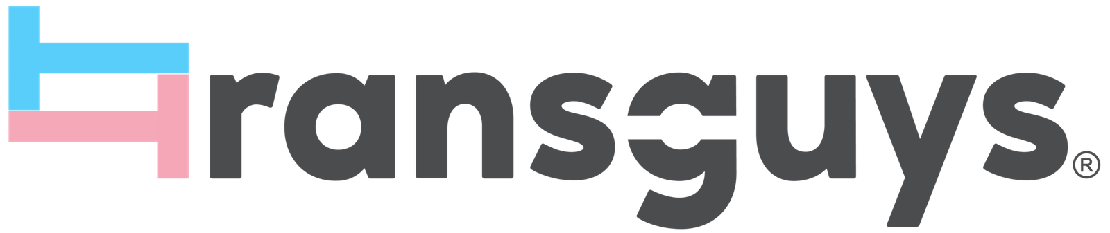 Logo-Transguys
